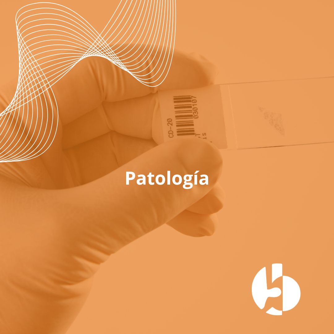 patologo